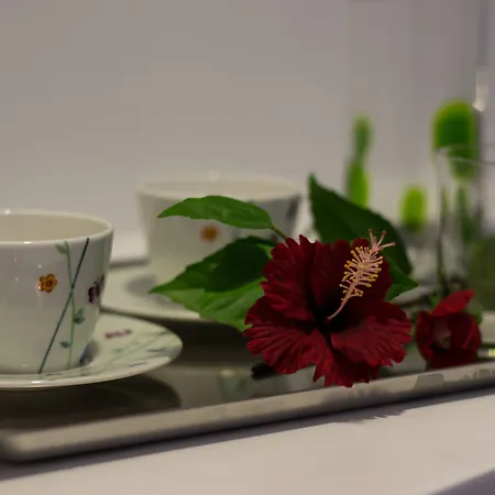 罗兹天文学酒店 Rhodes City